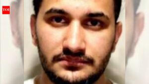 Indian-origin truck driver Baljeet Singh pleads guilty to causing death of two in crash in Canada, was playing mobile game