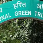 NGT moves over tree felling for park development in Odisha