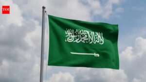 Saudi Arabia arrests over 14,000 illegal residents in week-long crackdown, thousands deported. world news