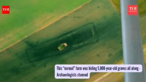 This “normal” farm was hiding 5,000-year-old graves all along -Archaeologists stunned