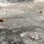 Potholes, cracks & flood: Roads here will test your driving skills. Noida News