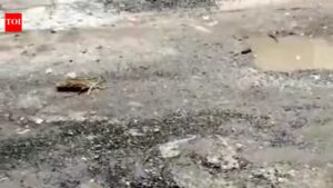 Potholes, cracks & flood: Roads here will test your driving skills. Noida News