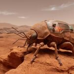 NASA rover images and the “insect on Mars” claim: What science really says |