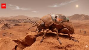 NASA rover images and the “insect on Mars” claim: What science really says |