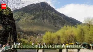 From holiday haven to place of pause. India News