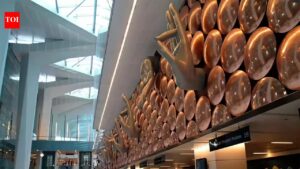 US national stopped for satellite phone-like device in J&K, let off after checks | India News