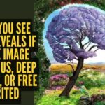 Optical illusion personality test: Face, brain or tree, birds? What you see first reveals if you’re image conscious, deep thinker, or free spirited.