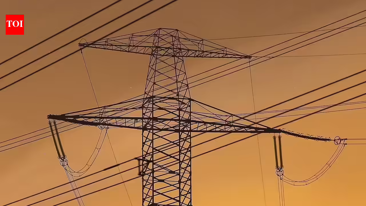 DHBVN orders daily monitoring to fix estimated billing. Gurgaon News