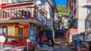 Nepal duty checks hit border bazaars from Dharchula to Darjeeling, spark protests. India News