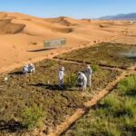 Chinese researchers turn desert sand into fertile soil in just 10 months using cyanobacteria.