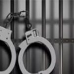 IPL betting racket busted in Punjab: Rs 42.3 lakh frozen, four arrested | cricket news