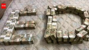 ED in overdrive, intensifies action in 19 laundering cases. India News