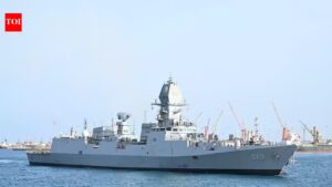 In touch with Iran, others for safe exit of Indian ships: MEA | India News