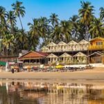 Coconut Trees Care: How to care for coconut trees at home: 5 Essential tips