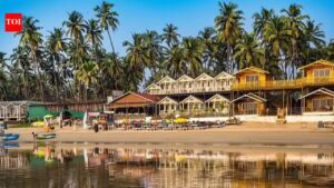 Coconut Trees Care: How to care for coconut trees at home: 5 Essential tips