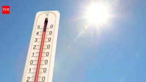 Travel advisory for India: IMD warns of heat wave in several states; rain, thunderstorms likely across several regions |