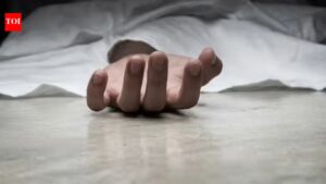 First heatstroke death? Errand turns fatal in Karnataka’s Bidar. Bengaluru News