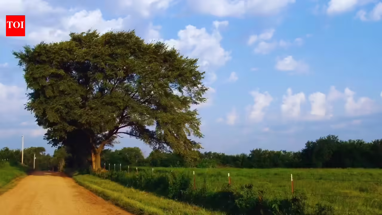 Why traveling to Bihar should be on your bucket list: Bonus – It has the city that recently recorded India’s lowest AQI |