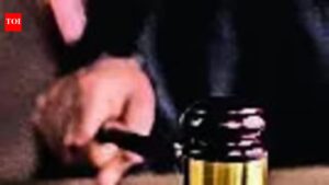 Raj HC stays order in B2 Bypass land dispute. Jaipur News