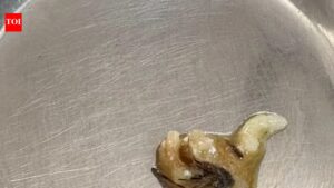 ‘Insects in food’: Protest at Lady Hardinge | Delhi News