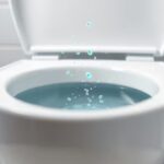 The great toilet debate: Is closing the lid actually keeping your bathroom cleaner? |