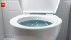 The great toilet debate: Is closing the lid actually keeping your bathroom cleaner? |