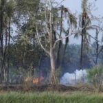 2 days after Tamil Nadu, 13 die in Kerala cracker unit blast. Kochi News