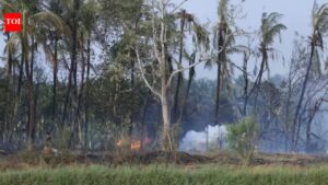 2 days after Tamil Nadu, 13 die in Kerala cracker unit blast. Kochi News