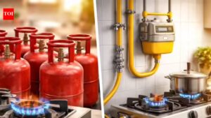 Maharashtra, UP lead in PNG sign-ups after government push