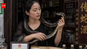Chinese woman earns over $146K a year managing 60,000 venomous snakes in a risky family empire: From University graduate to snake venom millionaire |