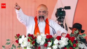 Shah’s ‘Eyy Didi’ remark draws TMC ire. India News