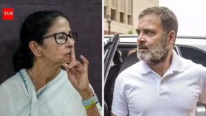 Rahul Gandhi’s Bengal rally fails to get police nod; Congress hits out at Mamata. India News