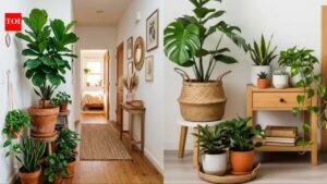 6 best indoor plants that survive low sunlight in British homes