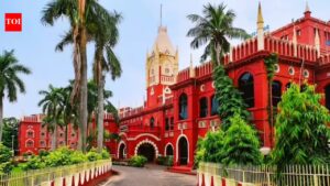 Odisha woman allegedly held captive in Dubai; high court orders urgent steps for repatriation