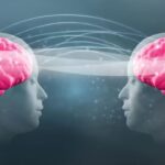 ‘Cutest thing ever’: The viral ‘Twin Telepathy Challenge’ is winning hearts on the internet