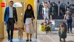 UK pet travel rules: British owners now need new health certificate for every Europe trip