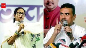TMC vs BJP: Will anger over SIR impact electoral battle in Bengal? | India News