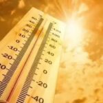 Heatwaves will become a major threat to Indian rice production, Ganges and Indus River basin face the most intense risk: FAO-WMO report. India News