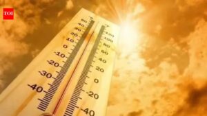 Heatwaves will become a major threat to Indian rice production, Ganges and Indus River basin face the most intense risk: FAO-WMO report. India News