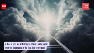 A door of light and a staircase to heaven? Study reveals what you dream about in the final days before death.