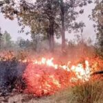 Forest fires cross 18k with Baliguda, Kalahandi North division being hotspots. Bhubaneswar News
