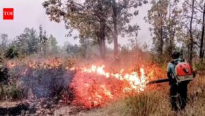 Forest fires cross 18k with Baliguda, Kalahandi North division being hotspots. Bhubaneswar News