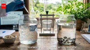 This everyday plant could secretly remove microplastics from your drinking water: Study |