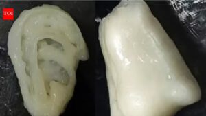 NITR team develops bio-ink to aid 3D bioprinting, tissue engineering. Bhubaneswar News