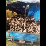 2 autos loaded with illegal firewood seized in Palamu | Ranchi News