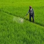 West Asia conflict: IPL set to import 25 lakh tonnes urea at $935–$959/tonne amid sharp price rise