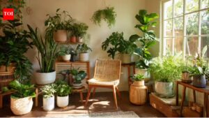 The single lighting mistake that is quietly killing your indoor plants.