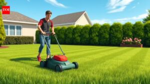 Why mowing timing can make or break your lawn’s health.