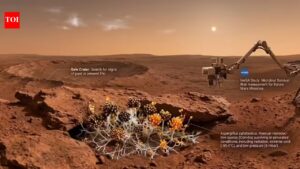 Can Earth’s fungi survive on Mars? NASA study reveals surprising answers