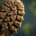 One overlooked habit that could be putting you at risk everyday |